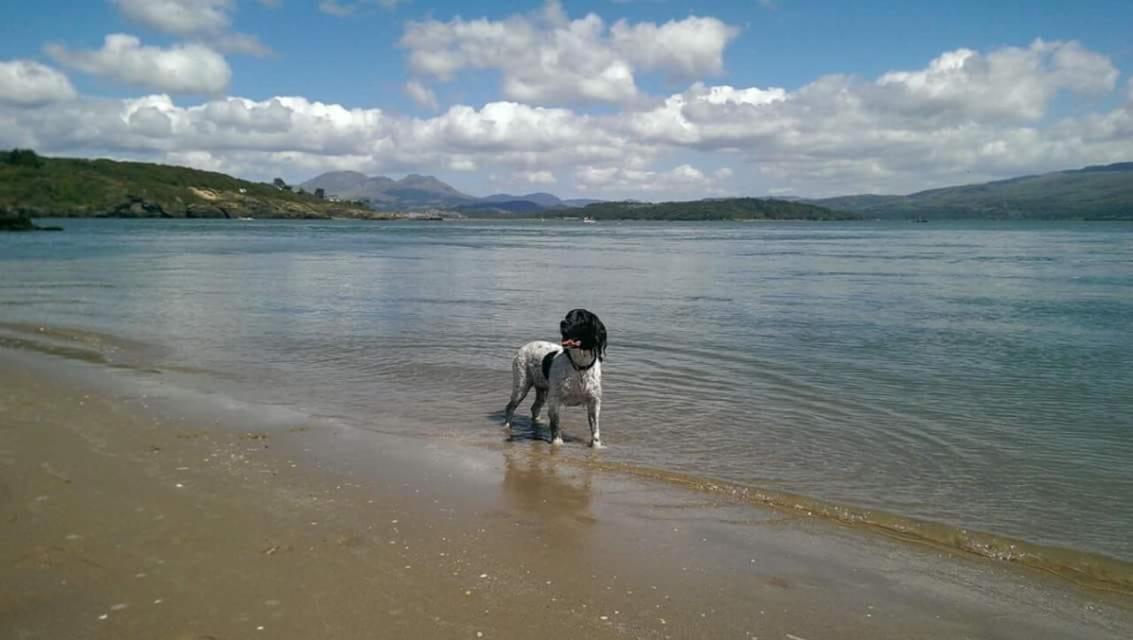 89 Lower Lakeside - Glan Gwna Holiday Park Caernarfon Eksteriør billede
